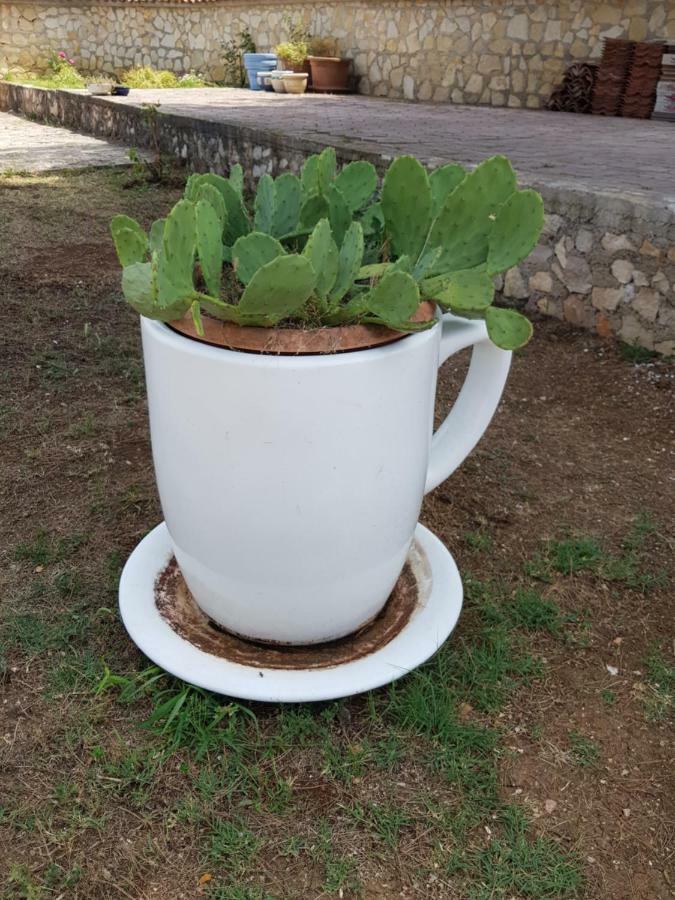 Holiday House "Villa Flora" Šibenik Eksteriør billede
